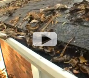 How to Keep Leaves Out of Your Gutter